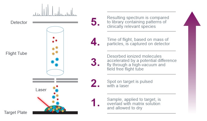Mass spectrometry analysis